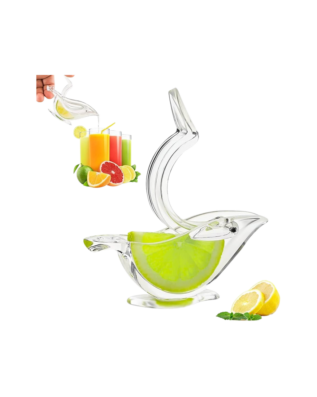 Shtrydhëse frutash e perimesh