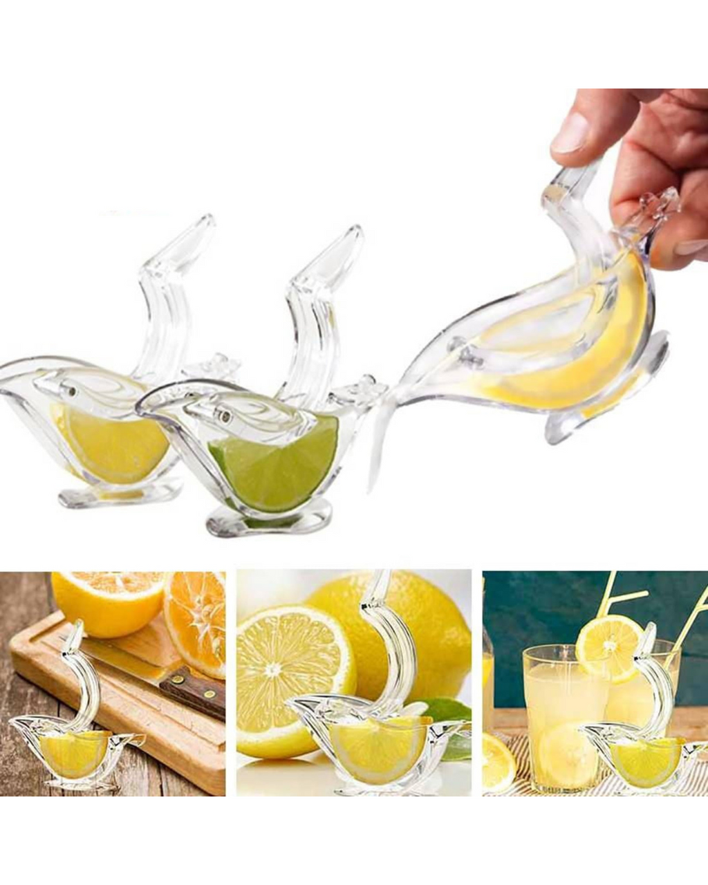 Shtrydhëse frutash e perimesh