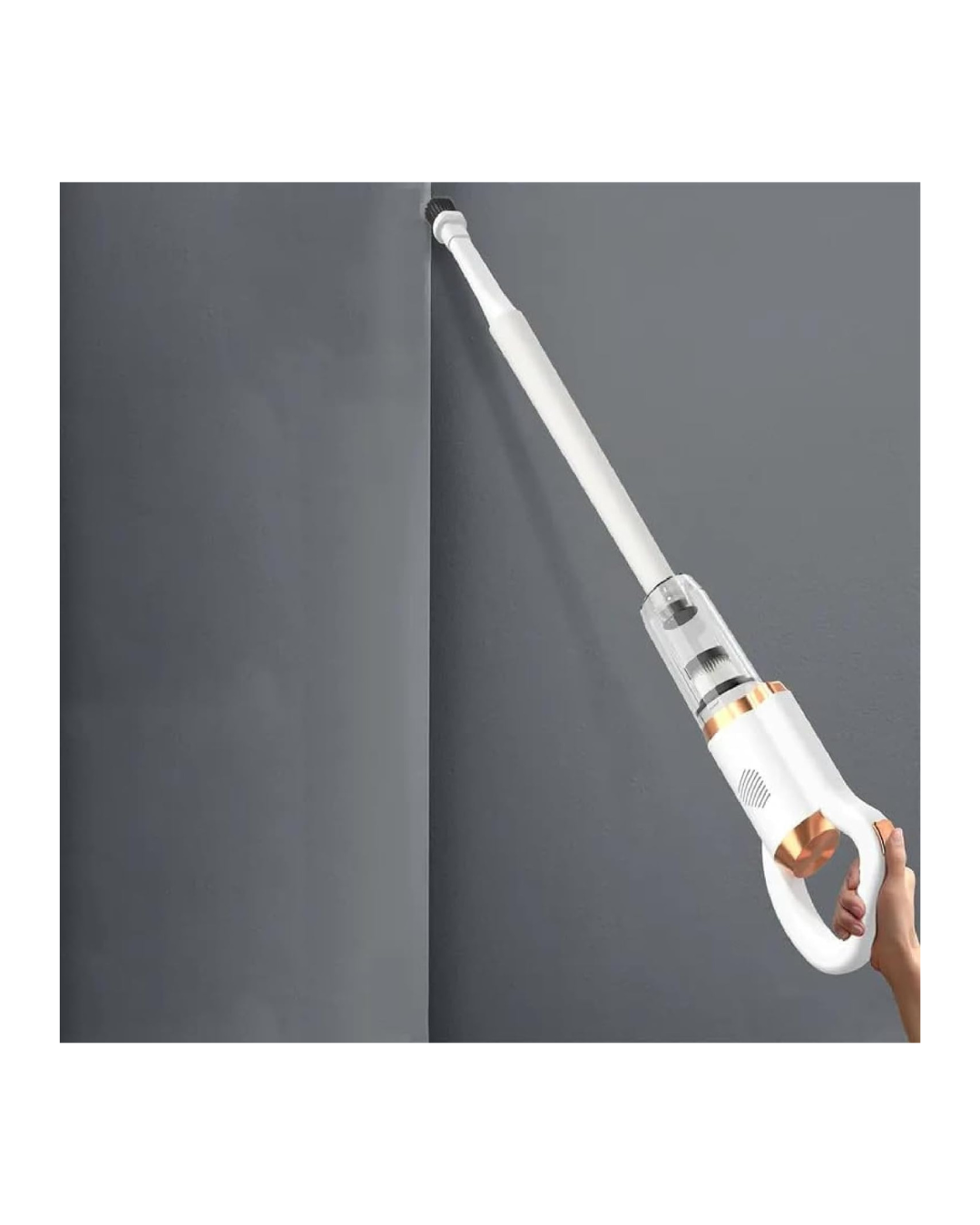 Fshesë profesionale elektrike portativ të gjitha-në-një